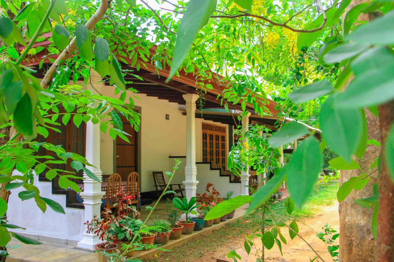 Sigiri Anu Homestay สิกิริยา ภายนอก รูปภาพ