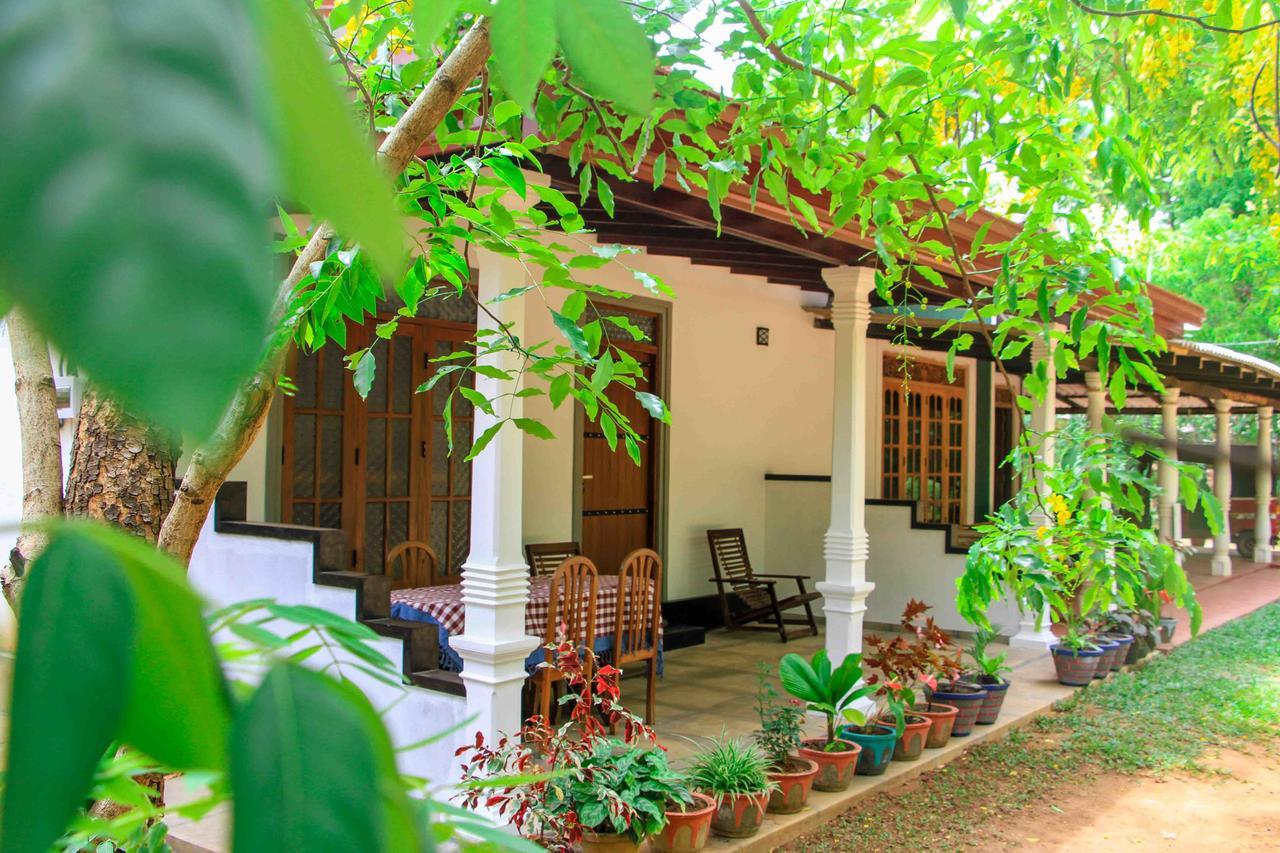 Sigiri Anu Homestay สิกิริยา ภายนอก รูปภาพ