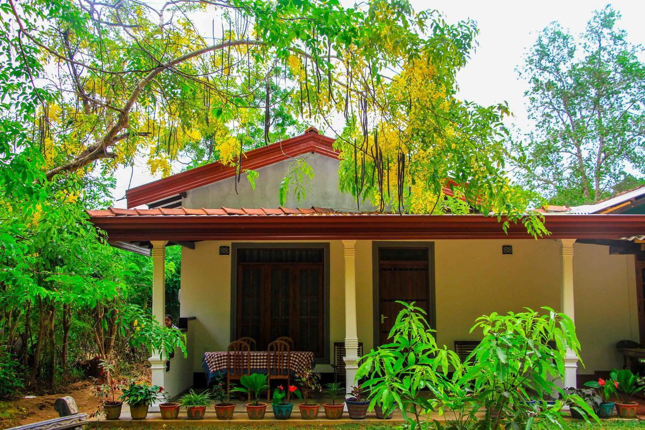Sigiri Anu Homestay สิกิริยา ภายนอก รูปภาพ